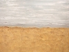 field-of-gold