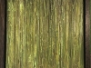 reeds-2
