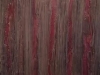 rhytidome-in-red_0