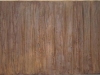 vascular-cambium