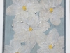 5-blossoms
