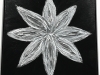 floral-in-black-and-white-3