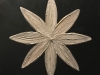 flower-on-black-2