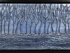 forest-in-twilight