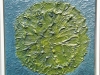 greenchrysanthemum_0