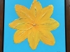 gul-blomma