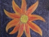 sun-flower_0