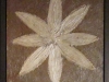 white-flower-1