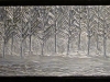 winter-woods