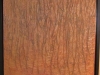 woodedpath_0