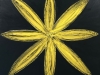 yellow-star-flower